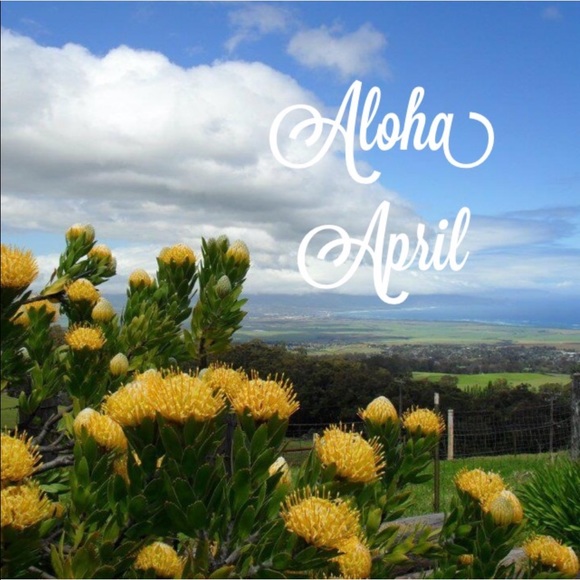 Aloha 🌺 & Smiles 🤙🏻🍧 - Picture 6 of 6